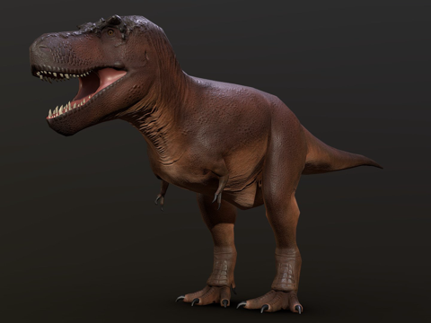 低多边形精确霸王龙su模型