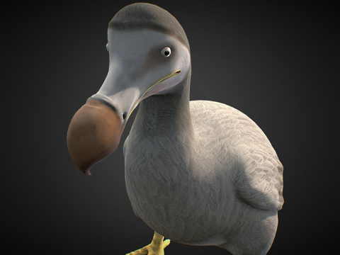 渡渡鸟[灭绝鸟类]su模型