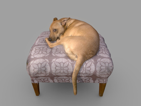 露西狗彩色3D扫描su模型