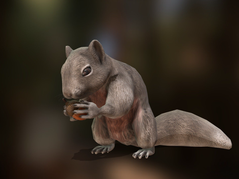 松鼠动画su模型