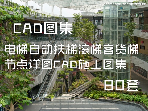 电梯自动扶梯滚梯客货梯节点详图CAD施工图集 80套cad施工图