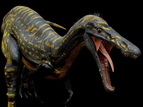 似鳄龙[4K纹理绑定]su模型