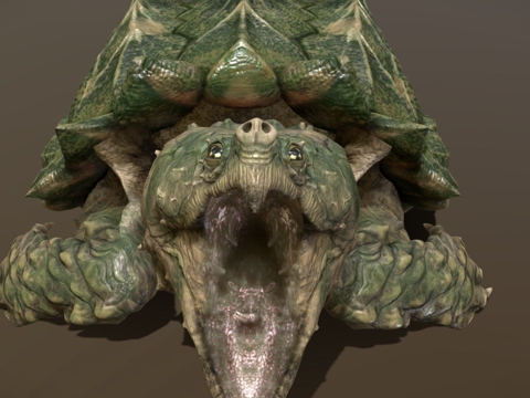 鳄龟su模型