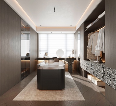  现代衣帽间3d模型 