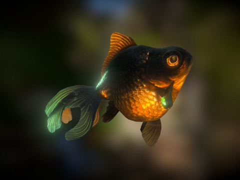 黑沼金鱼(Smoothie-3D上传)su模型