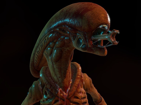 宝宝跑者su模型