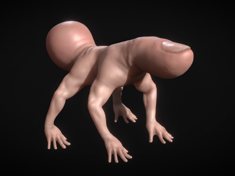 手指蜘蛛[仅模型]su模型