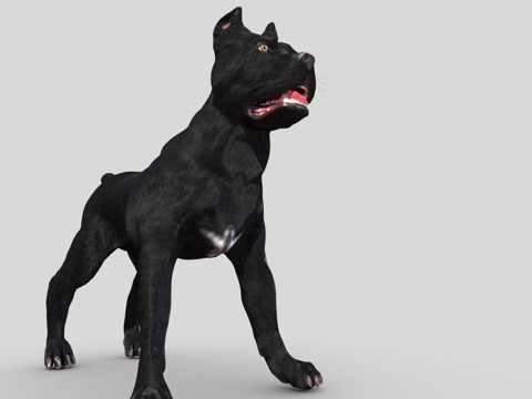 凯恩柯索V3版-几何优化su模型