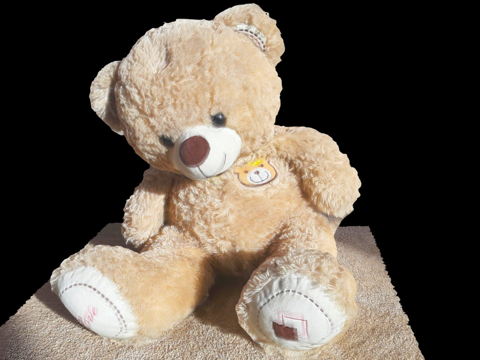 泰迪熊(3D扫描)su模型