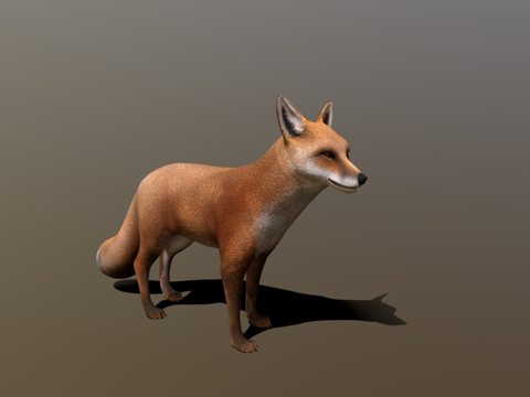 狐狸su模型