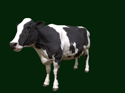 奶牛su模型