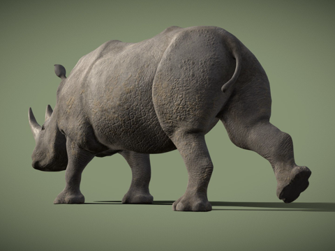 白犀牛su模型