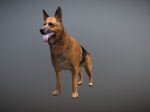 狗su模型