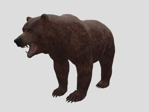 灰熊写实3D模型su模型