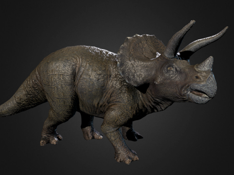 三角龙摄影测量测试su模型