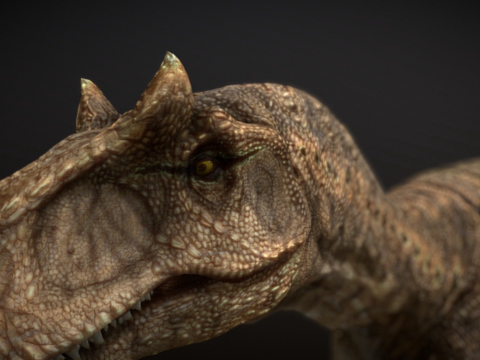 脆弱异特龙su模型