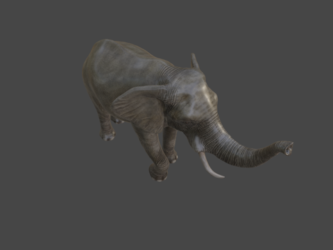 大象?-真实感su模型