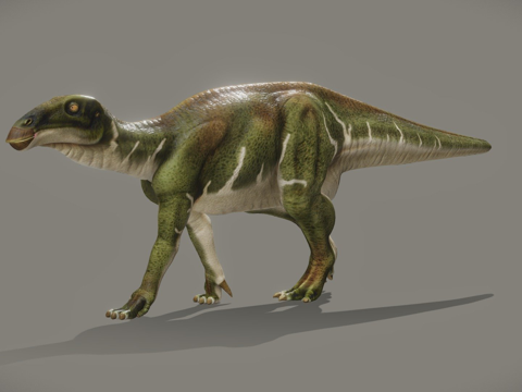 贝尔尼萨特禽龙su模型