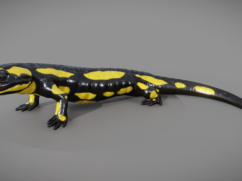 火蝾螈 - 萨拉曼德拉蝾螈su模型