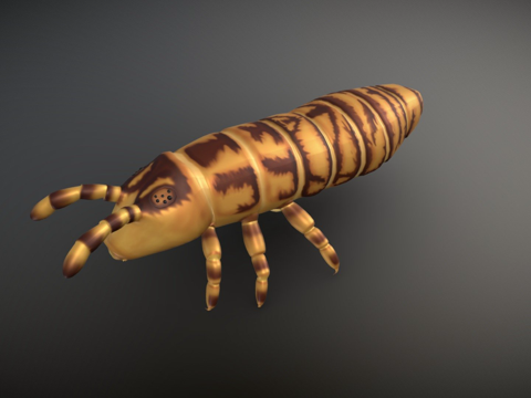 莱尼尔拉前驱su模型