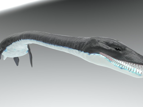 海洋蛇颈龙包su模型