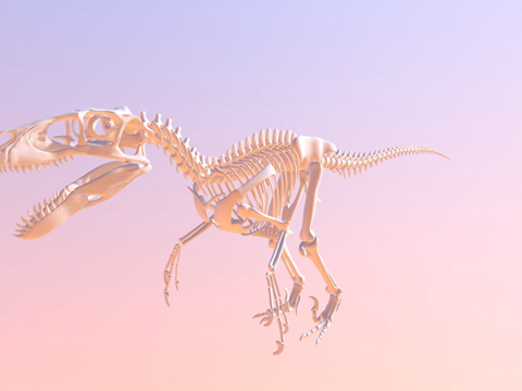 犹他盗龙骨架su模型