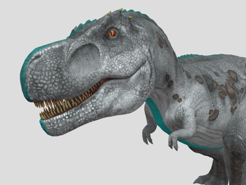 雷克斯-待机su模型