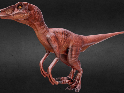 侏罗纪公园迅猛龙su模型