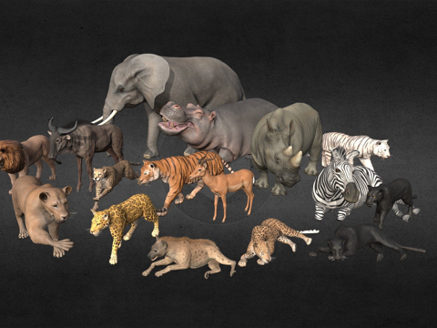 非洲动物包su模型