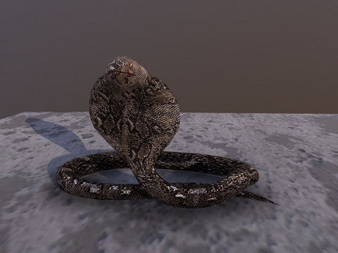 眼镜王蛇su模型