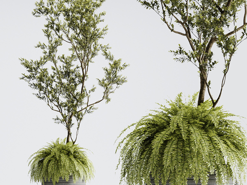 绿植盆栽 植物盆栽 花坛su模型