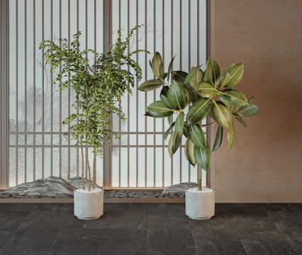 现代绿植盆栽su模型