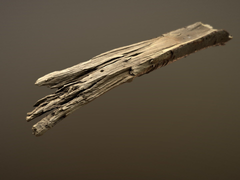 狗棒玩具su模型