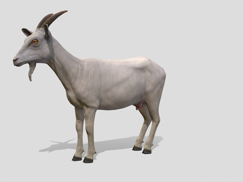 母山羊su模型