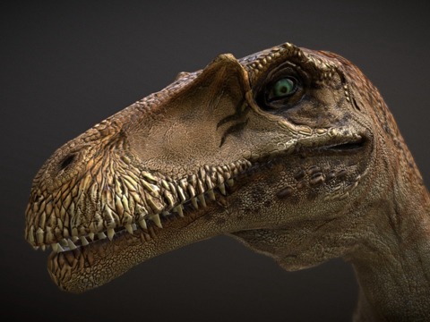 达科他盗龙su模型