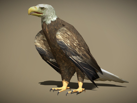 DRT-鸟类与小动物-鹰su模型
