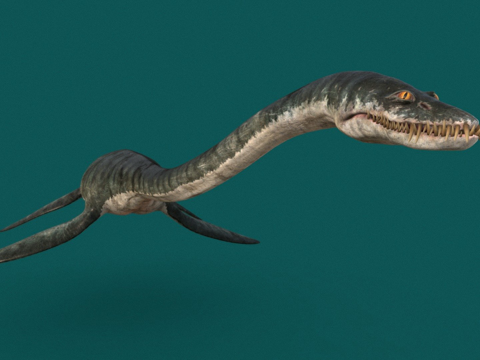 雪氏斯氏蛇颈龙su模型