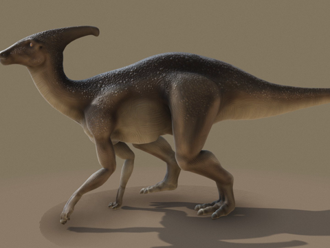 副栉龙行走循环su模型