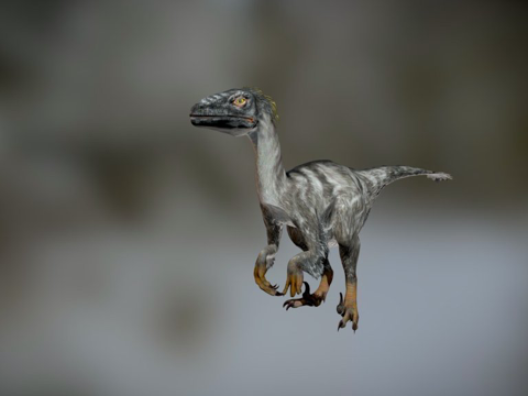 迅猛龙121动画-恐龙动画集su模型