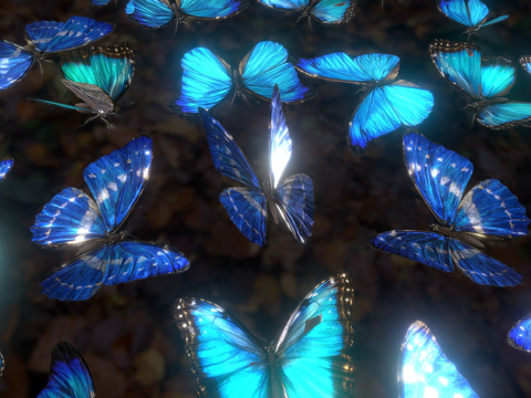 闪蝶地毯su模型