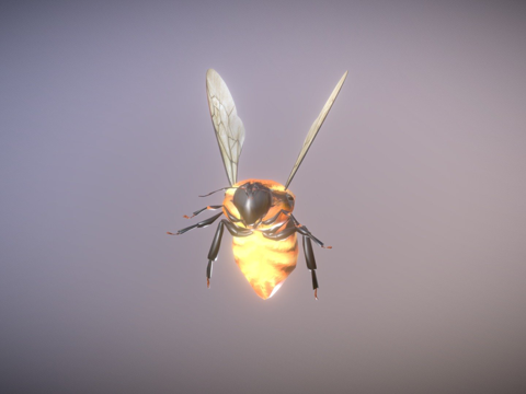 达尔博姆熊蜂su模型