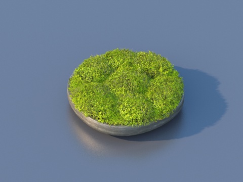 盆景 苔藓盆景 花盆 盆栽 绿植3d模型3d模型 
