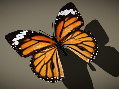 DRT-鸟类与小动物-蝴蝶05su模型