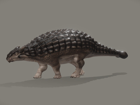 甲龙玛君龙su模型