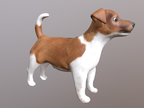 杰克罗素梗su模型