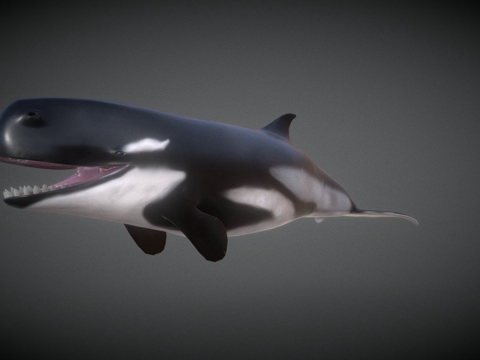 利维坦鲸su模型