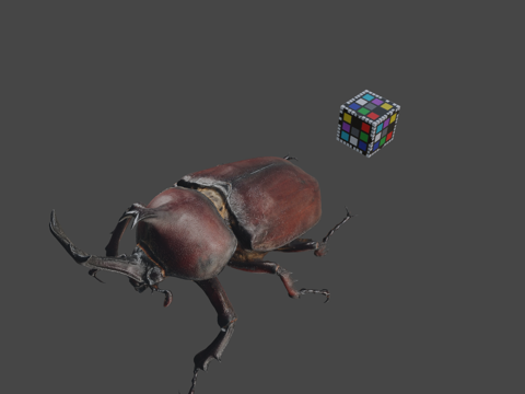 CC0 独角仙♂日本犀金龟（ffish.asia-florasu模型