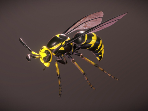 黄蜂su模型