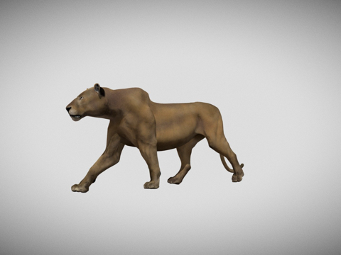 狮子原地行走循环su模型