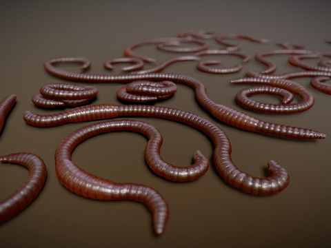 蚯蚓绑定PBR低多边形su模型